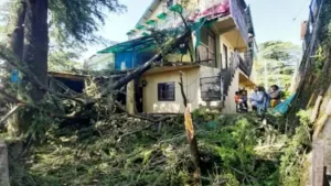 shimlahighstrom