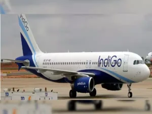 295109-indigo-ians