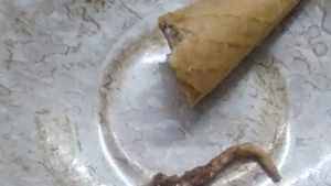 68249e0989a13-woman-claims-to-have-found-a-lizards-tail-in-an-ice-cream-cone-1443328-16x9