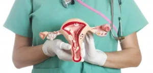 69261_female-reproductive-model-iStock-155075632.jpg_08ec5214-5203-4977-8ee2-bd07d4192465