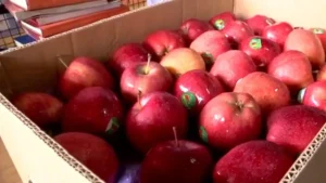turkish-apples-contribute-to-a-seasonal-turnover-of-rs-1-000-to-1-200-crores-in-pune-135505874-16x9_0