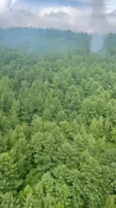 2025-07-24T081813Z_962681153_RC2WSFABWKQ7_RTRMADP_3_RUSSIA-AIRPLANE-CRASH-SITE