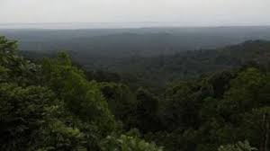 Forest land diversion in India for mining and road projects