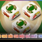 Kinh Nghiệm Chơi Bầu Cua